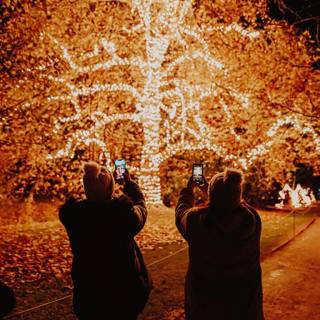 Christmas in the Garden at Fort Worth Botanic Garden - Gift Card 5