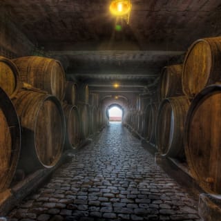 Bodegas Monje: Visita a la bodega + Cata de vinos 3
