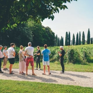 Tour di degustazione dell'Amarone da Verona 6