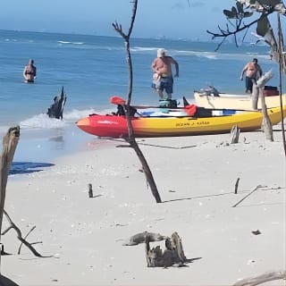Tour guidato di 2,5 ore in kayak di gruppo su Big Hickory Pass 5