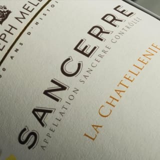 Sauvignon Blanc Unlocked - Une soirée dégustation à Marylebone 3