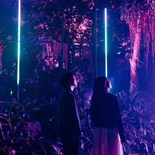 교토부립식물원: LIGHT CYCLES KYOTO 3