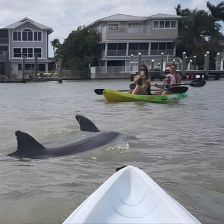 Tour guidato in kayak Eco - Bunche Beach 5