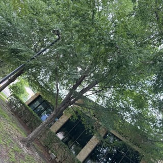 Jacksonville Murder Mystery: Solve the case in Riverside! 7