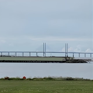 Malmo Walking Tour, 3 hours (small group) 4
