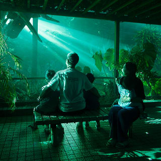 교토부립식물원: LIGHT CYCLES KYOTO 6
