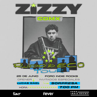 Zizzy 1