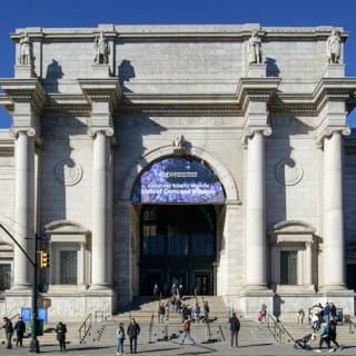 American Museum of Natural History (AMNH): Plus One Ticket 19