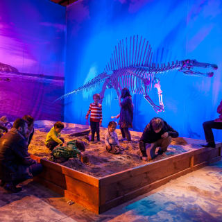 Dino Safari: Una aventura para recorrer caminando 6