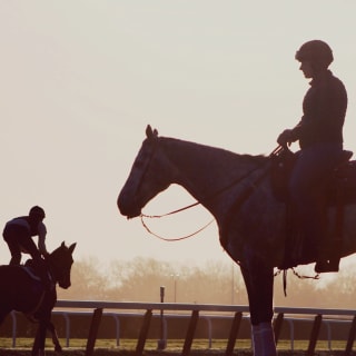 ¡Aprende a montar a caballo! 1