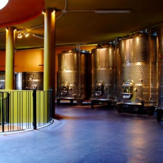 Bodegas Monje: Visita a la bodega + Cata de vinos 6