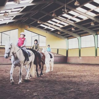 ¡Aprende a montar a caballo! 3