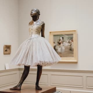 Metropolitan Museum of Art: Überspringe die Warteschlange + Geführte Tour 16