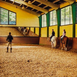 ¡Aprende a montar a caballo! 4