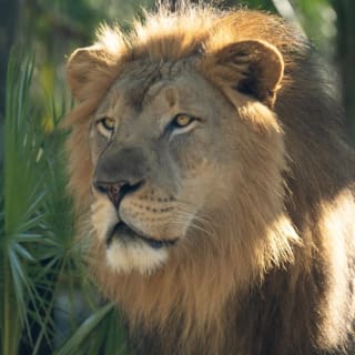 Brevard Zoo: Entry Ticket 1
