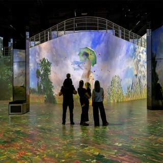 Port des Lumièrs Kombi-Ticket: Wunderwelt Ozean & Monet 3