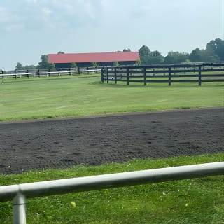 Unique Horse Farm Tours with Insider Access to Private Farms 6