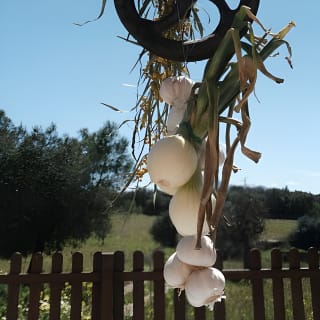 Ein surrealistisches kulinarisches Erlebnis in einem Bauernhaus 15