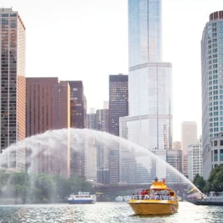 Lake Michigan & Chicago River: 75 Minute Speedboat Cruise 5
