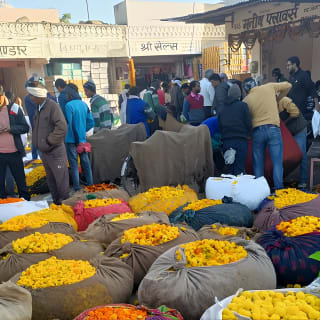 Jaipur Walking Tour 15
