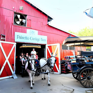 Daytime Horse-Drawn Carriage Sightseeing Tour of Historic Charleston 3