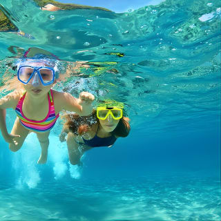 Snorkeling and Dolphin Watching Experience in Destin 1