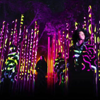 Light Cycles: ¡Una experiencia inmersiva nocturna entre luces y sonidos de la naturaleza! 4