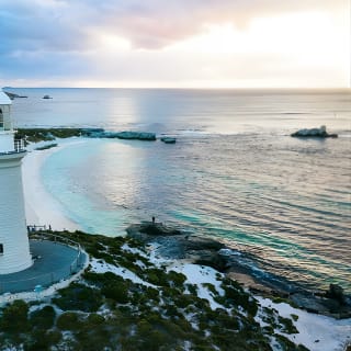 Discover Rottnest with Ferry & Bus Tour 4