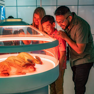 Jurassic World The Experience Madrid 5
