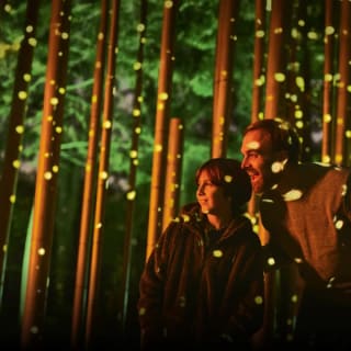 Light Cycles: ¡Una experiencia inmersiva nocturna entre luces y sonidos de la naturaleza! 7