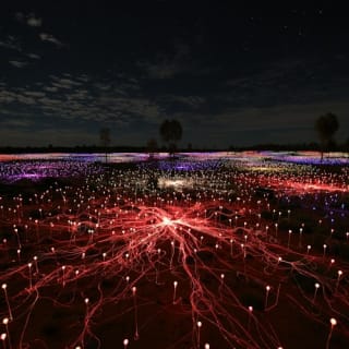 Field of Light Uluru: General Admission + Transfer 6