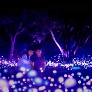 Light Cycles: ¡Una experiencia inmersiva nocturna entre luces y sonidos de la naturaleza! 6