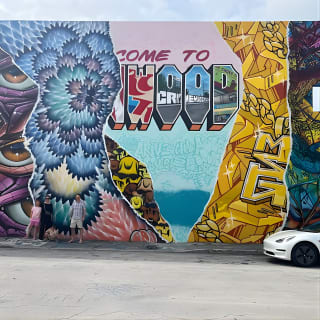Explore Miami with a Private driver 3