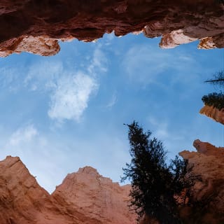 Bryce Canyon und Zion Nationalpark Tagesausflug von Las Vegas 9
