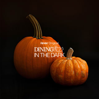 Dining in the Dark: A Unique Blindfolded Dining Experience at Pedro's 4