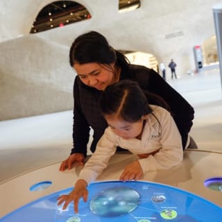 American Museum of Natural History (AMNH): Plus One Ticket 24