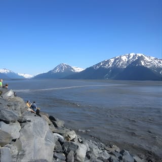 Wildlife and Glaciers with a walk in the Rainforest 11
