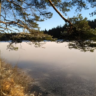 Vaelluskokemus kansallispuistossa Backpacker Helsinki Tourilla 2