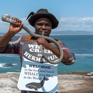 From Cape Town: Full Day Guided Hermanus Explorer Tour 4