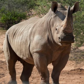 Out of Africa Wildlife Park 5