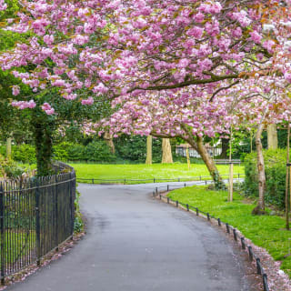 Romantic Dublin Outdoor Exploration Game 5