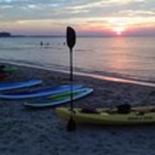 Sunset Dolphin Kayak Tours 1