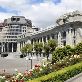Geführte kleine Gruppe zu Fuß durch Wellington 2