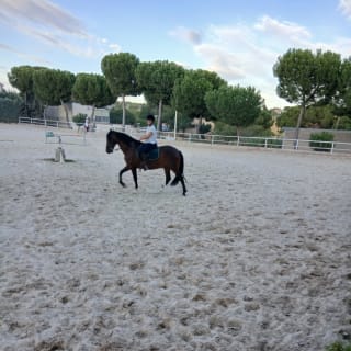 Rutas a caballo en la Escuela de Henry 1