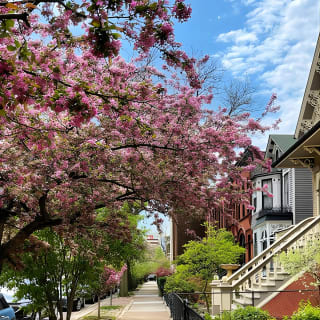 Workers Cottages of Oldtown Triangle Walking Tour 4