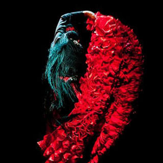 Entradas para el Museo del Baile Flamenco 1