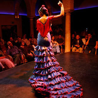 Entradas para el Museo del Baile Flamenco 2