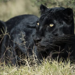 Out of Africa Wildlife Park 7