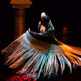 Entradas para el Museo del Baile Flamenco 3