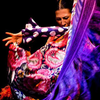 Entradas para el Museo del Baile Flamenco 4